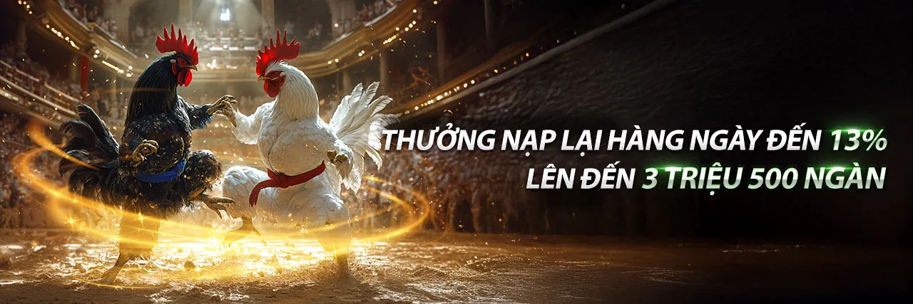 SHBBET chính thức cá cược thể thao
